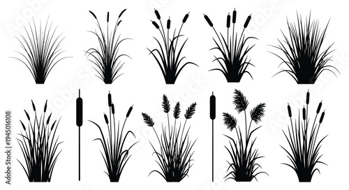 A collection of cattails and grasses depicted in a stark black silhouette high quality professional detailed