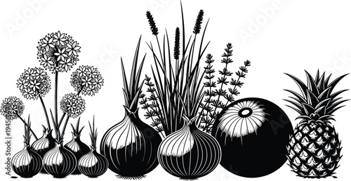 Black and white hand drawn vintage woodcut illustration of various fresh vegetables including onions garlic and pineapple for garden harvest and healthy cooking.