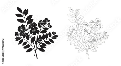 Floral arrangements a detailed black and white line drawing of blossoming branches