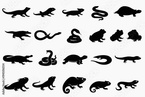 Reptile and Amphibian Silhouette Grid"