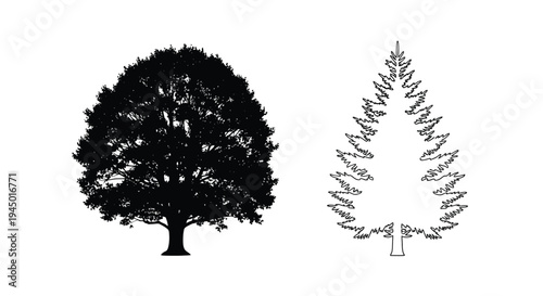 Silhouettes of two trees against a stark white background