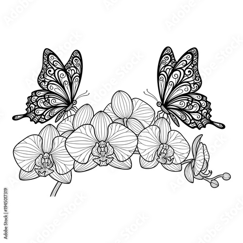 Elegant butterflies perched among delicate orchids in intricate monochrome artwork Vector, illustration