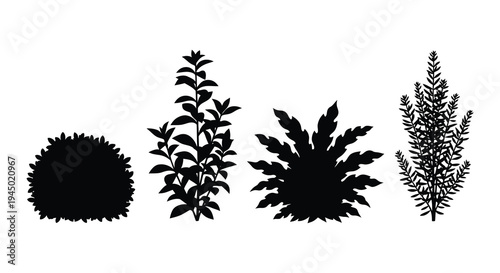A collection of four diverse plant shapes presented as a striking black silhouette high quality professional
