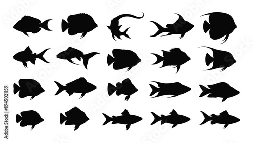 Comprehensive analysis of diverse fish species silhouettes for marine biology research and education purposes