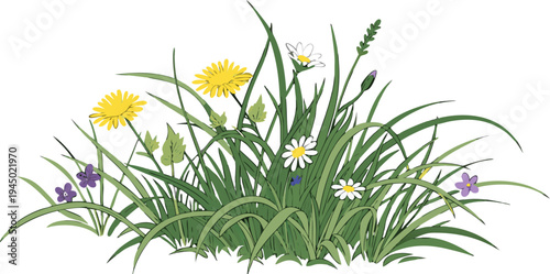 Healthy green grass lawn isolated PNG for landscaping and nature design.