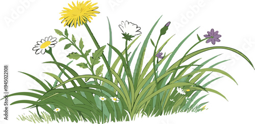 Lush green grass turf isolated PNG, natural lawn texture for gardening and landscape design.