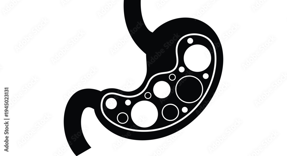 Fototapeta premium Simple black and white vector graphic illustration depicting the internal structure of a human stomach organ