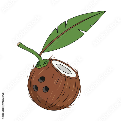 A halved coconut with a green leaf sprout from its stem