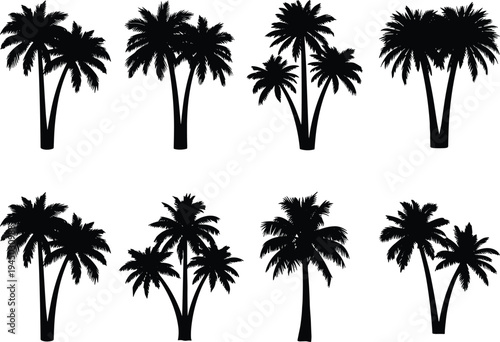 Collection of black palm tree silhouettes and tropical coconut trees in various shapes isolated on white background for summer beach vacation and island travel design