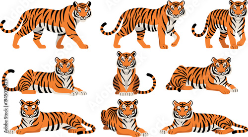 Tiger illustration collection with different poses isolated on white background, wild animal character set for wildlife design, zoo education, nature themes and decoration