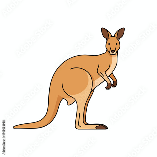 Stylized cartoon kangaroo with brown fur, long tail, and large ears, standing