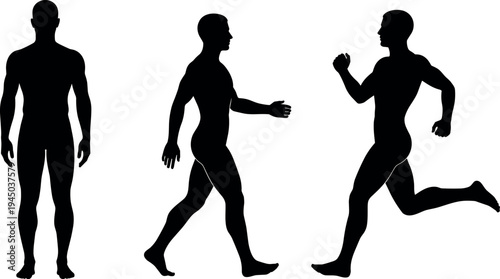 Male body silhouette collection showing standing walking and running poses vector illustration, athletic human anatomy figures isolated on light background for fitness training design