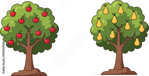 Flat vector illustration of an apple tree with red fruits and a pear tree with yellow fruits isolated on white background for harvest.