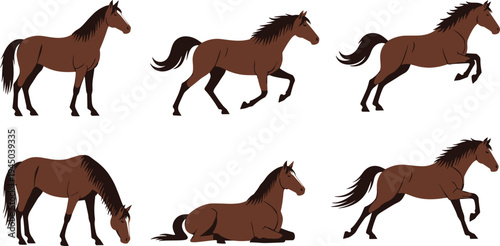 Set of brown horse characters in different poses including standing, running, grazing and resting, farm animal vector illustration isolated on white background
