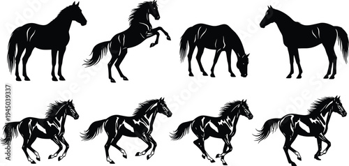 Set of Horse Silhouettes Featuring Running Galloping Standing and Rearing Poses for Equestrian Logo Design Farm Branding and Mustang Nature Illustrations