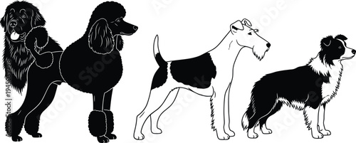 Professional mega collection featuring construction worker pictograms, business silhouettes, school student illustrations, children playing soccer, running kids, human life cycle icons, and diverse d