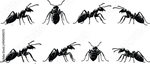 Black silhouette set of ants and crawling insects isolated on white background for pest control service infographics and nature biology science education concept