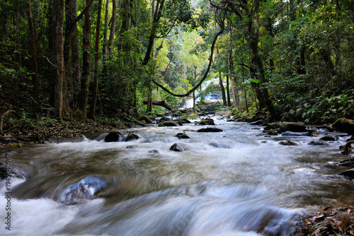 River flowing through lush forest with waterfall in thailand