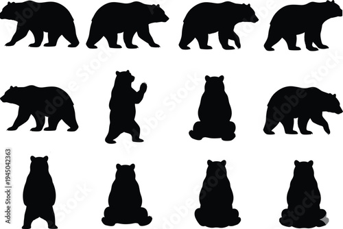 Bear silhouette set collection walking standing sitting poses wildlife animal black vector illustration icons for logo design emblem