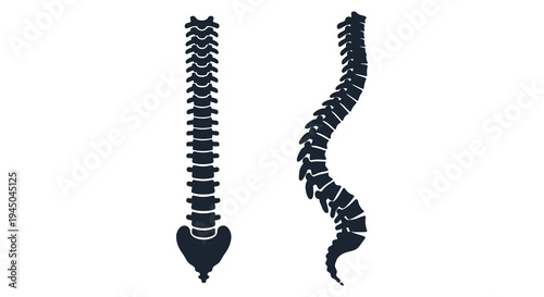 A comparative view of healthy and scoliosis spines depicted as a striking black silhouette high quality