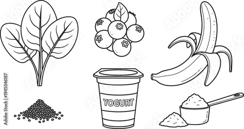 Assortment of healthy smoothie ingredients including spinach blueberries banana yogurt chia seeds and protein powder rendered in a clean outline vector illustration