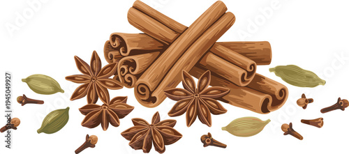 Aromatic spice ingredients illustration with cinnamon sticks, star anise, cloves and cardamom for cooking seasoning and herbal food flavor