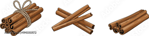 Cinnamon sticks bundle and crossed cinnamon spice vector illustration collection, aromatic cooking ingredient botanical seasoning isolated background
