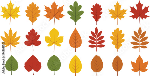 Autumn leaves collection, colorful fall foliage, seasonal leaf variety, nature background, vibrant leaf shapes, botanical illustration, autumn design elements