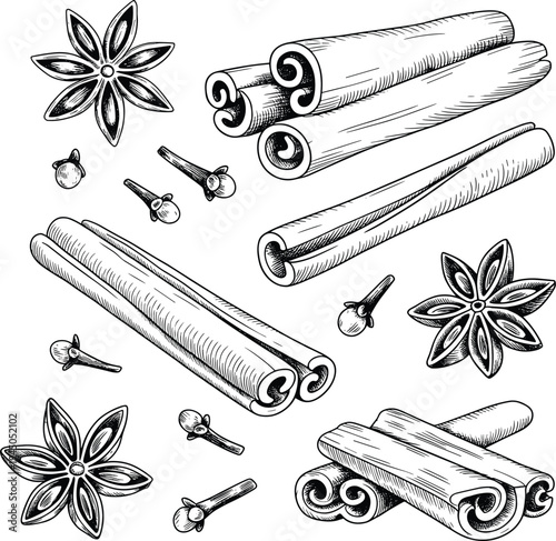 Vintage engraved spices illustration featuring cinnamon sticks, star anise and cloves botanical seasoning ingredients hand drawn vector set
