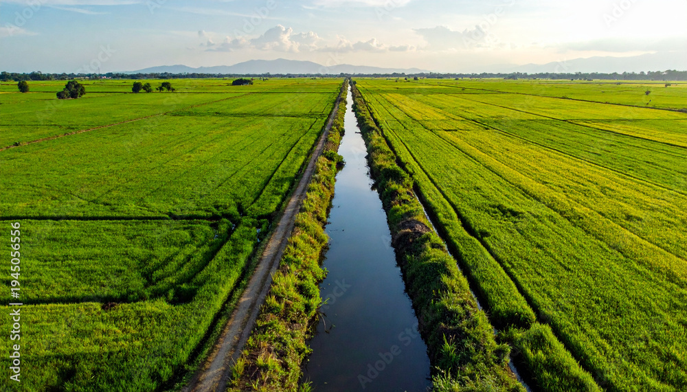 Naklejka premium Aerial view of vibrant green agricultural fields with water channel daytime