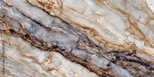 A detailed closeup of the rough and dry brown bark texture from an old tree provides a natural abstract pattern that contrasts with the rugged surface of a stone rock wall