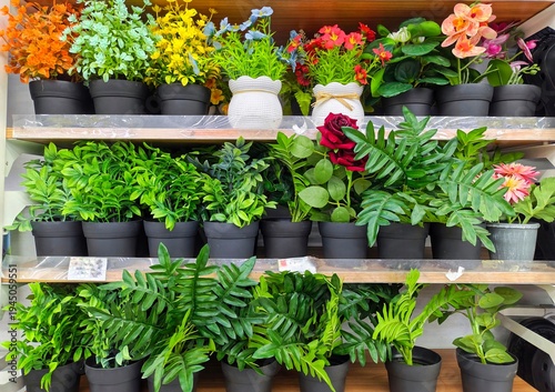 Bild auf Leinwand Colorful variety of artificial potted plants and silk flowers arranged on wooden retail shelves