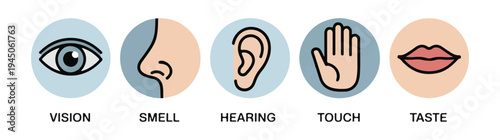 Five senses icons including vision smell hearing touch and taste with colored circles and labels