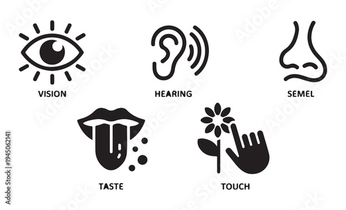 Modern human senses infographic icons set showing vision hearing smell taste and touch with flower element