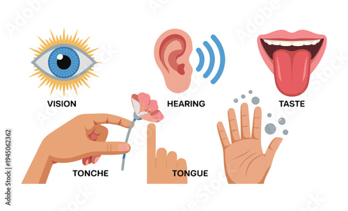 Colorful illustration of five human senses: vision, hearing, touch, taste, and smell with text