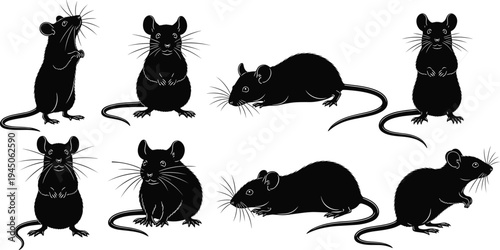 Mouse silhouettes collection, small rodent animal poses including sitting standing and running mice, wildlife pest and laboratory animal concept vector illustration