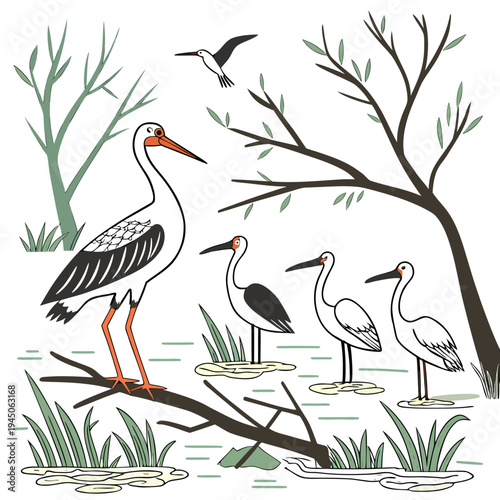Storks and herons in a wetland water birds