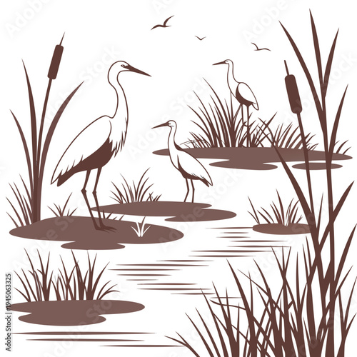 Silhouette of Herons in Wetland water grass cattails