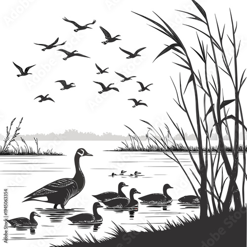 Black and white of ducks and geese in a pond with reeds