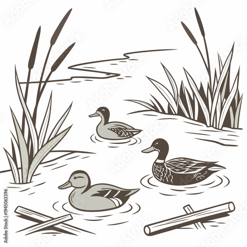 Brown of ducks in a pond with reeds and logs