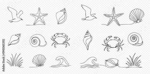 Set of continuous line drawings of various marine and beach elements including starfish, shells, crab, seagull, and waves.