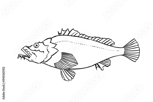 devil stinger scorpionfish ink brush illustration, japanese style fish line art vector