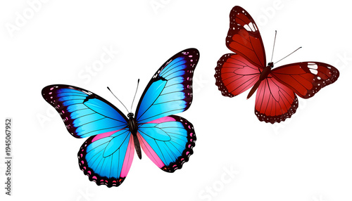 A beautiful blue and black long-tailed butterfly with vibrant wings stands out against a white background.