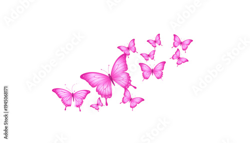 Illustration of a butterfly on a white background.