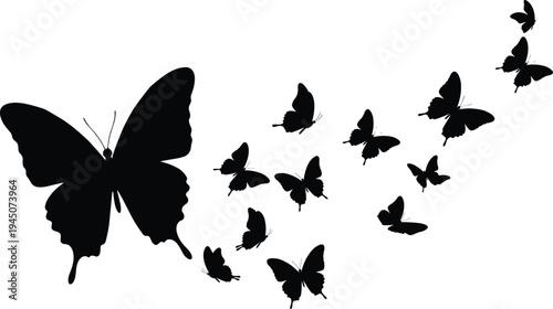 Butterfly silhouette vector illustration, flying butterflies collection, black insect outline design, nature decorative element, winged insect pattern, swarm butterfly artwork