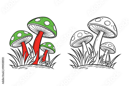 Mushroom coloring book page for kids featuring outline and colored versions of forest fungi