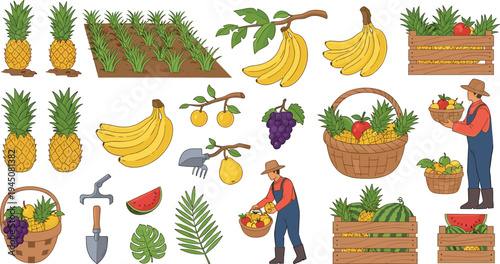 Tropical fruit farming collection with pineapple banana grapes harvest baskets farmer agriculture vector illustration set