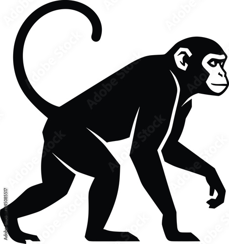 Monkey silhouette vector illustration walking primate animal with long tail wildlife jungle mammal design isolated black icon