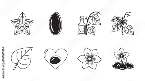 Botanical Icons Set: Star Fruit Seed Oil Bottle Plant Leaf Heart Fruit Flowers