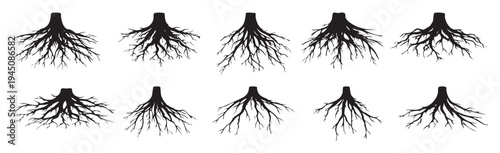 Collection of diverse tree roots silhouettes vector illustration